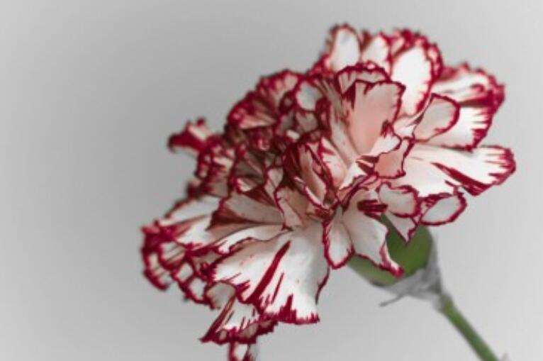 含深刻道理的句子文案