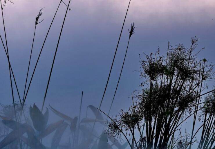 描写疼痛难忍的句子文案