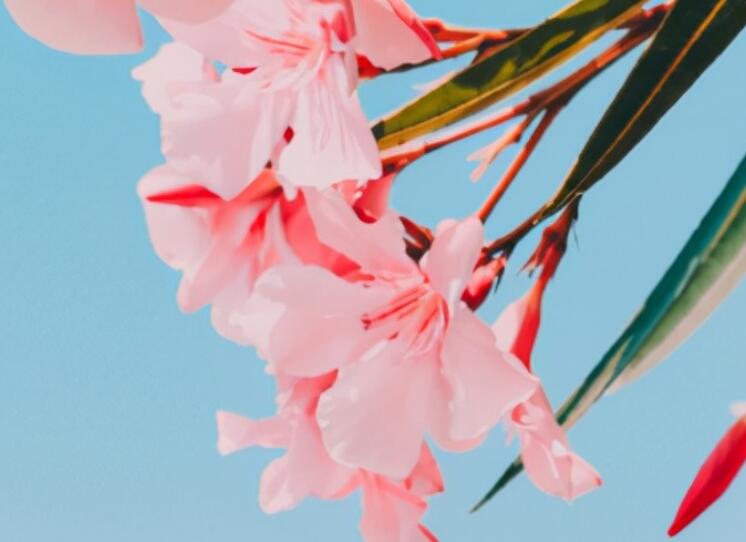 人性论经典句子文案