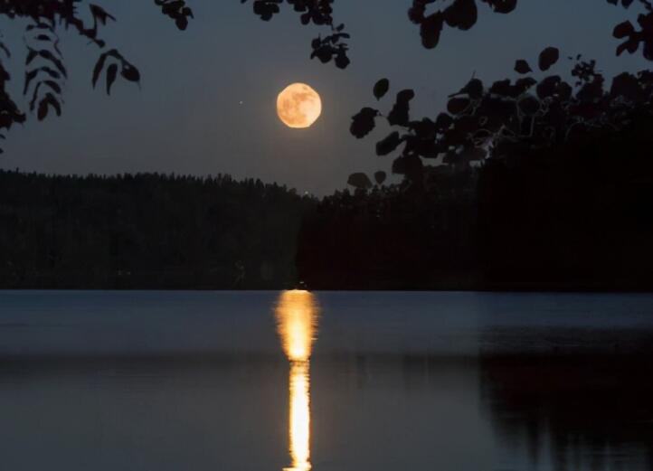 比较有隐喻的讽刺的话