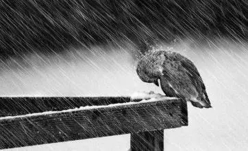 不要指望别人的经典话