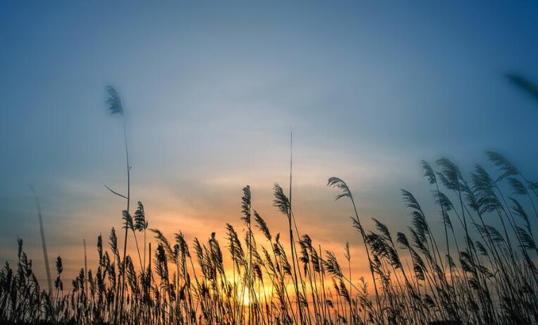 岁月不饶人的感悟句子文案