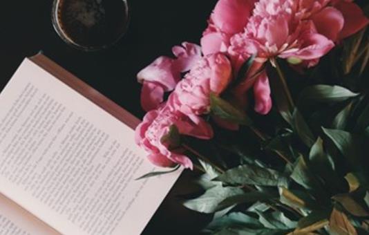 赞美女朋友的情话文案短句