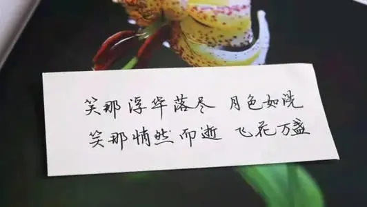 非常短的佳句有哪些