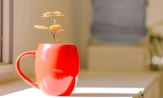 写在摘抄本上的好句文案好段