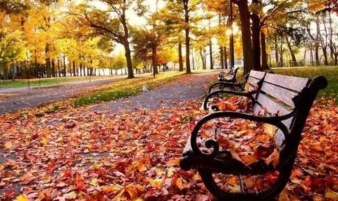 关于写景的句子文案摘抄10字