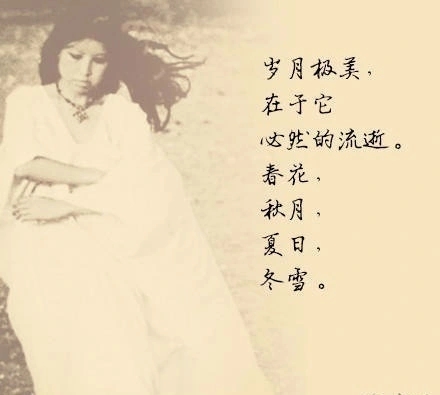 作者三毛的名言