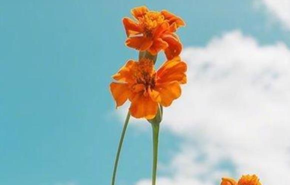 励志早安朋友圈文案