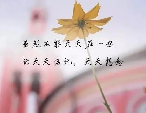 下午发表心情朋友圈