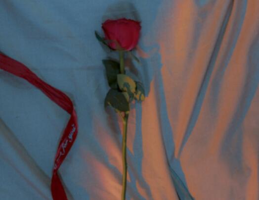 评价一个人很好的句子文案