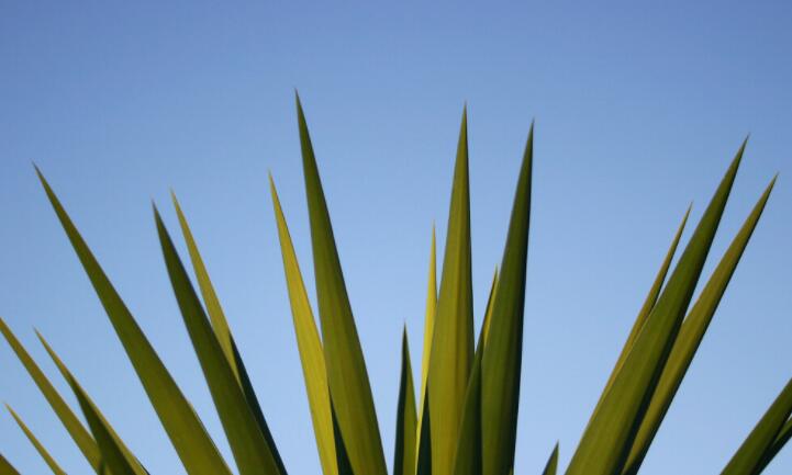 早上哲理句子文案唯美简短