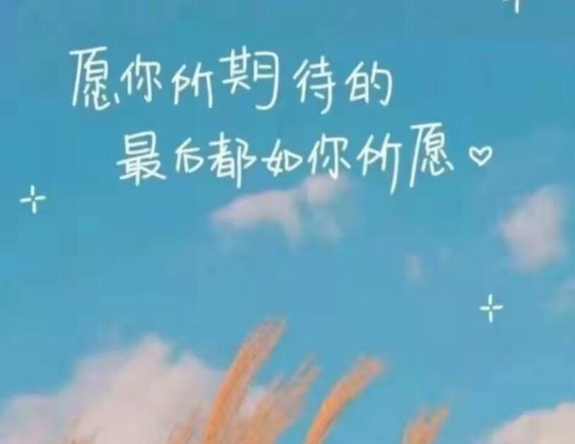 行动的励志句子文案