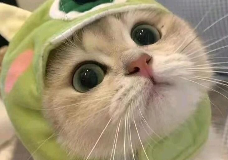 可爱俏皮的文案