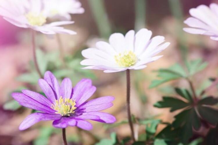 写给女人励志的话