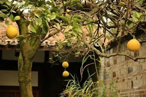 说明有缘的诗句文案