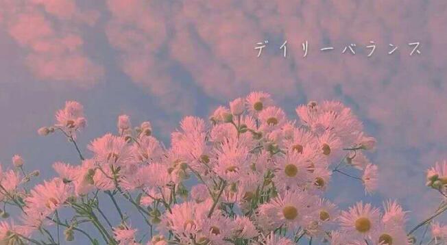 形容眼里有星辰的语录文案