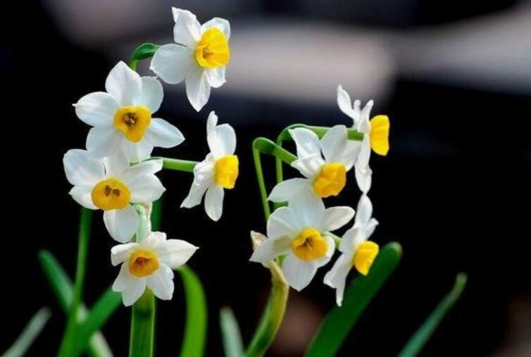 亲人相聚后离别的句子文案