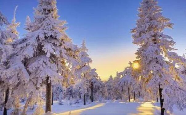 描写冬天景色的优美短句