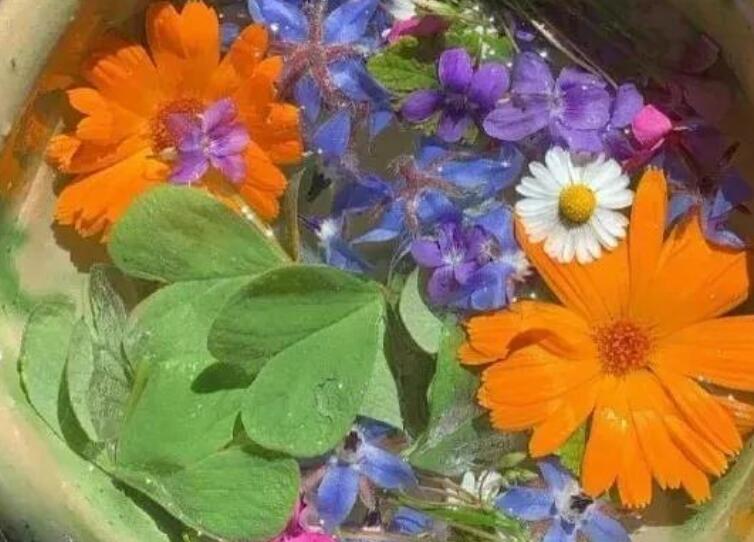 关于今天这个日子的说说文案