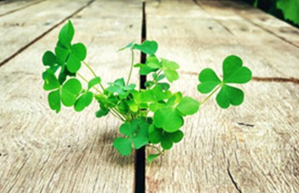 最新晚安激励正能量的句子文案