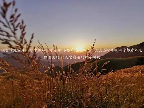 看不到任何希望的句子文案