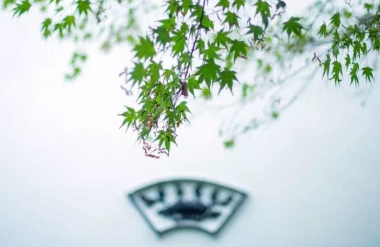 努力拼搏的文言文句子文案