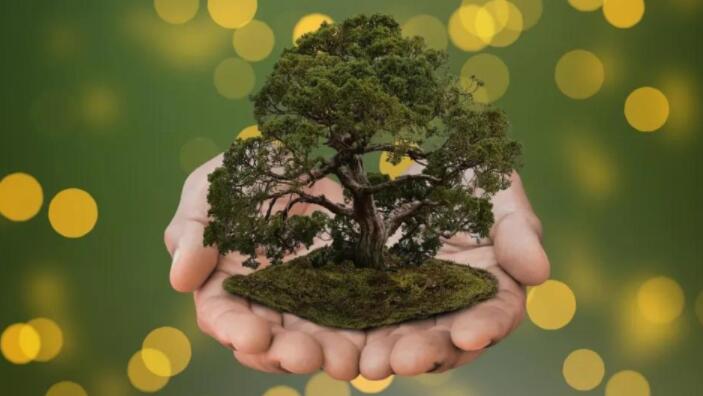 爱护地球的名言名句文案