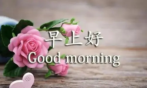早上问候语早上温馨问候语