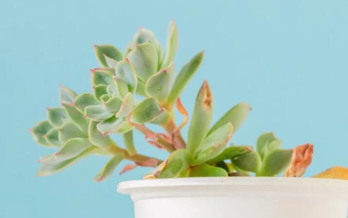 最经典的签名短句句子文案