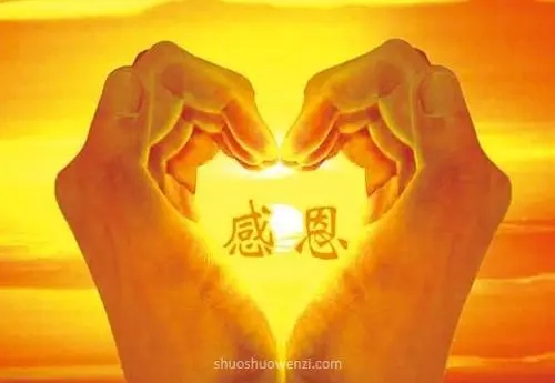 感谢最暖心短句