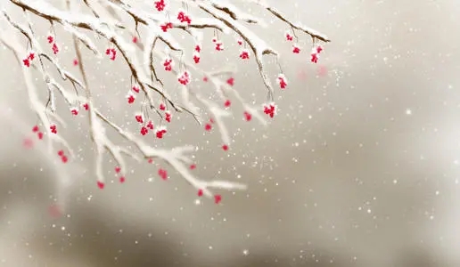 冬季诗句文案唯美