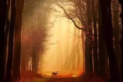 言多必失的经典句子文案