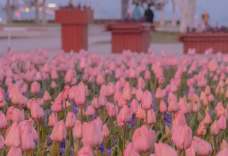 本该有的样子说说文案