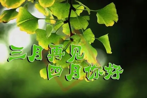 形容4月份的美好短句