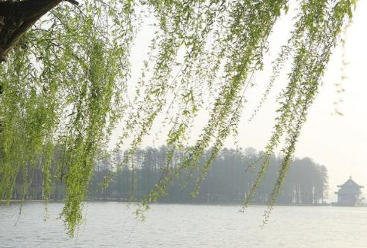 关于春天的好词好句文案