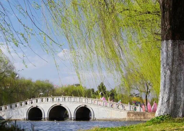 含有春风的诗句文案100首