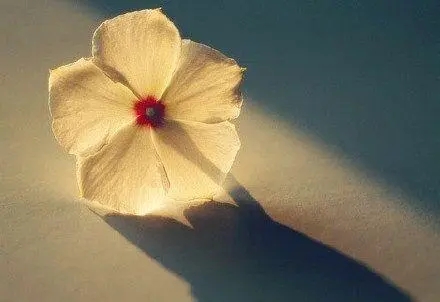 微信的个性签名有哪些好句子文案