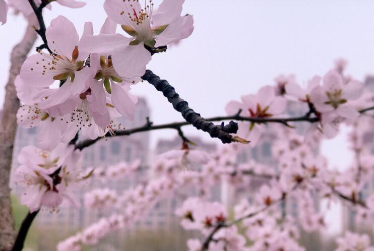 奋斗的唯美句子文案