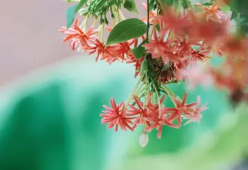 退隐的唯美句子文案