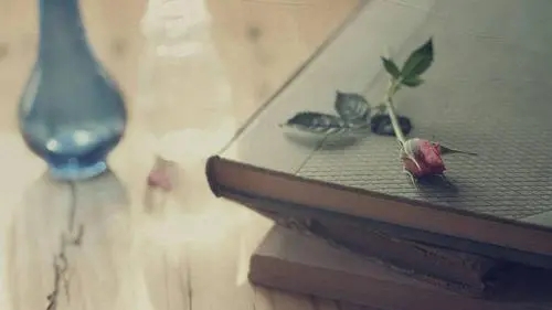 挽回女友最感人的短语