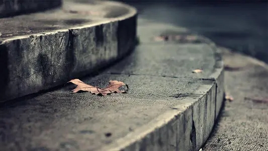 扎心的短句爱情九字