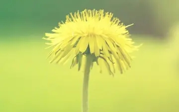 11月的说说文案