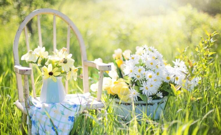 夸女人心态好的句子文案