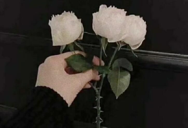 深深暗恋一个人的句子文案