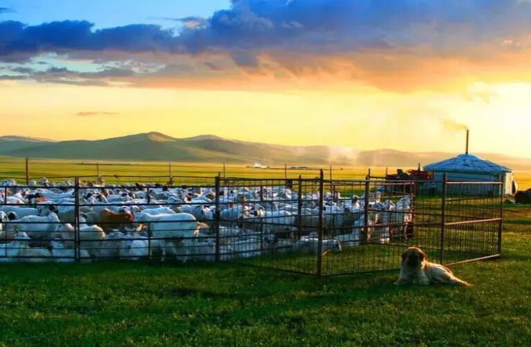 内蒙古旅游朋友圈文案