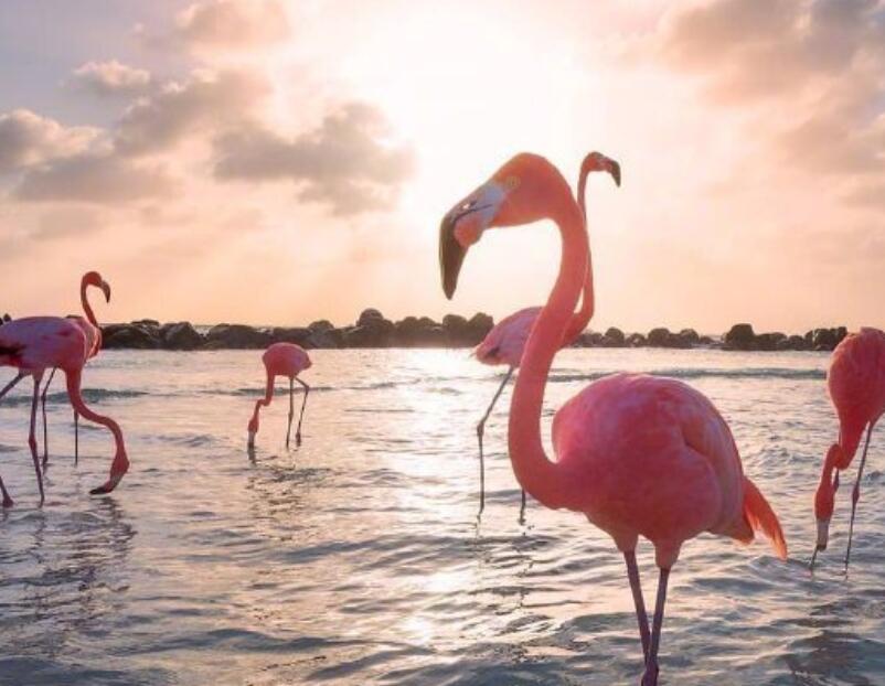 半夜醒来的微信说说文案