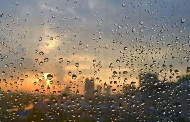 清晨雨后的唯美句子文案