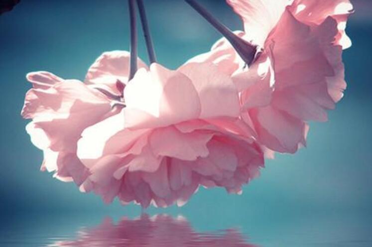 工作一年了想发个说说文案