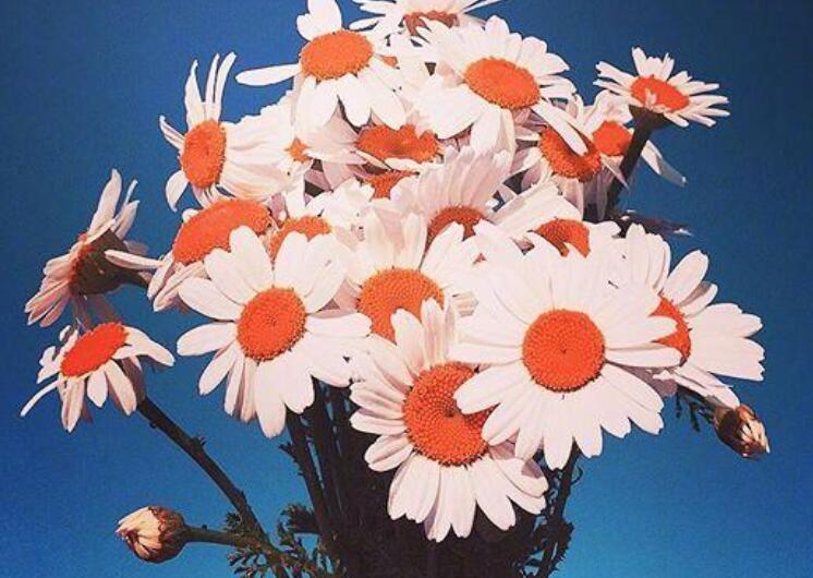 励志短语正能量霸气早安语