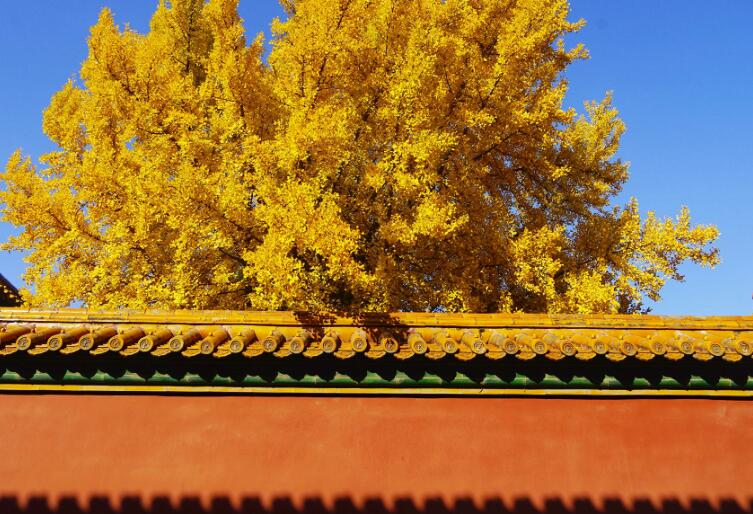 形容故宫的词语